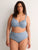 WINDWARD BLUE