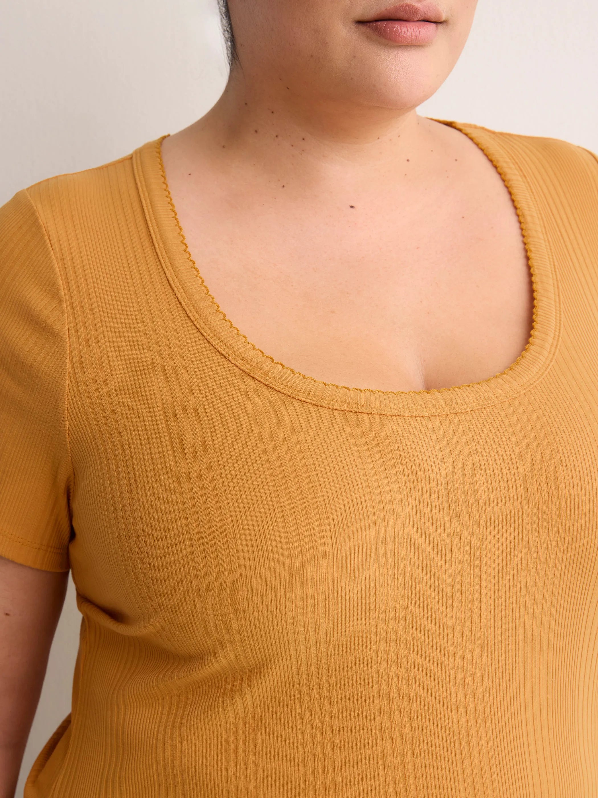 SPRUCE YELLOW