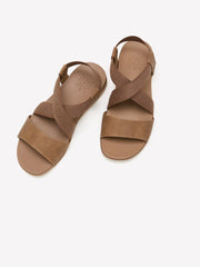 Chestnut