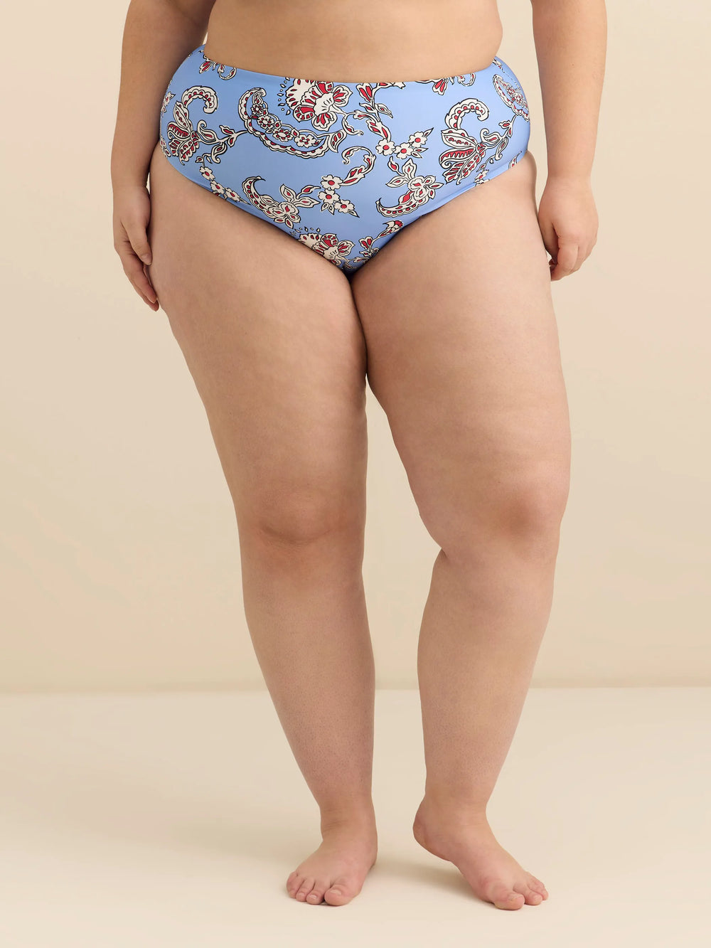 Della Robbia blue printed