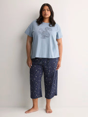 WINDWARD BLUE