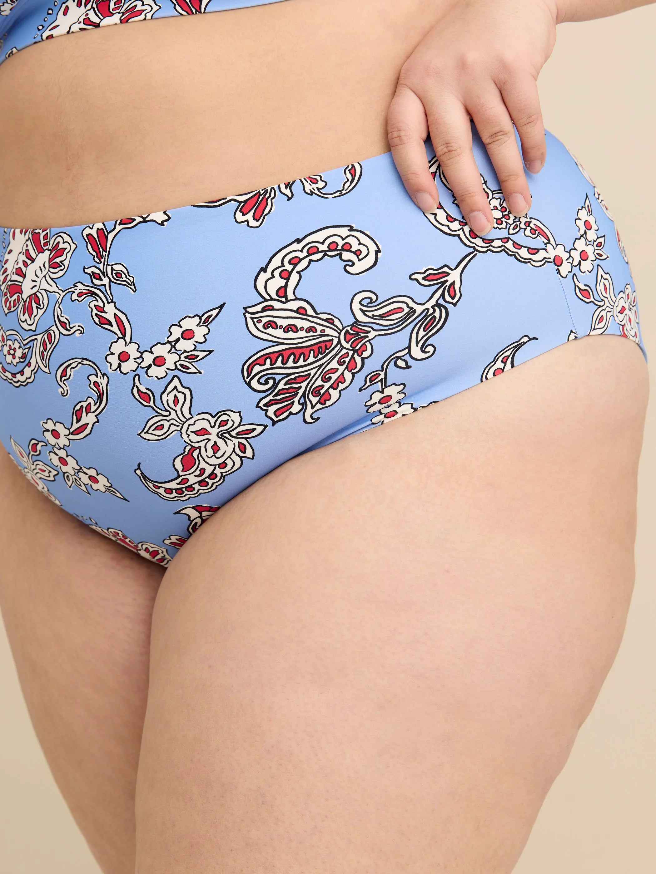 Della Robbia blue printed